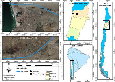 Coping Strategies and Tactics to Deal With Social Vulnerability in the Flood Disaster of March 25, 2015, in Chañaral and Diego de Almagro, Chile